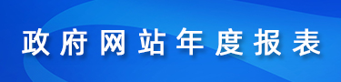 政府網(wǎng)站年度報(bào)表